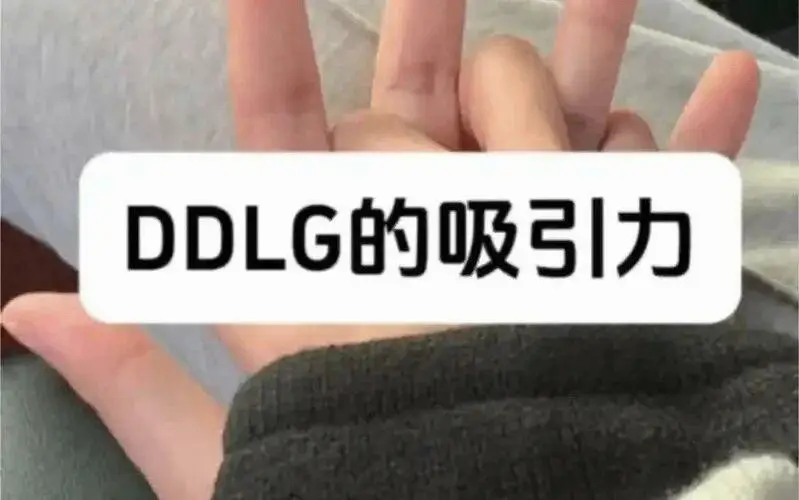 【西檬之家】K9犬系是什么？字母圈新人必读的权力与信任指南