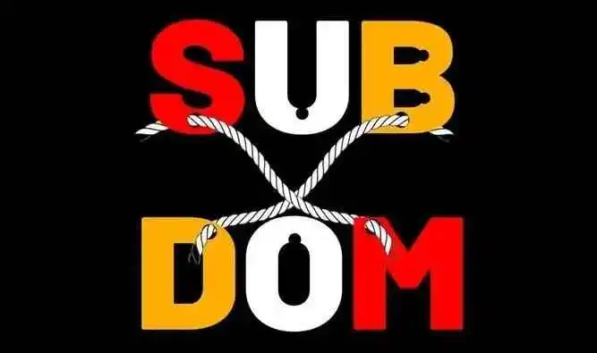 【西檬之家】BDSM新人指南：解读k9犬系属性与入圈礼仪