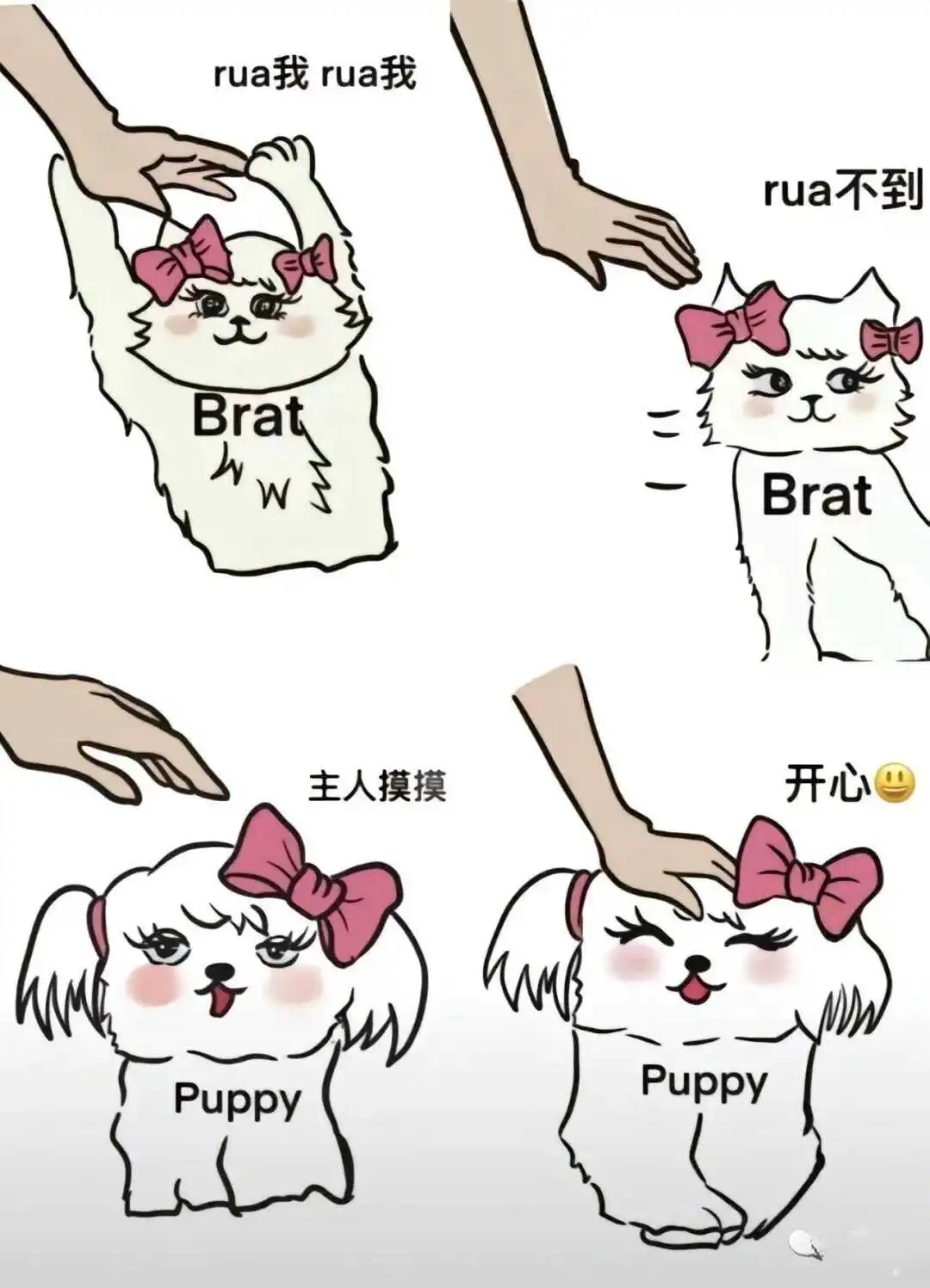 【西檬之家】k9犬系是什么？字母圈新人入圈行为指南