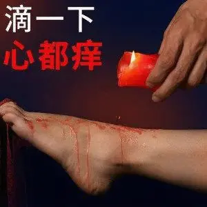西檬之家-K8是什么：字母圈猫系角色的深度解析