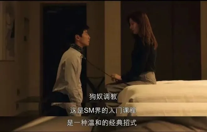 【西檬之家】字母圈新人如何入圈？一份基于SSC原则的权威指南