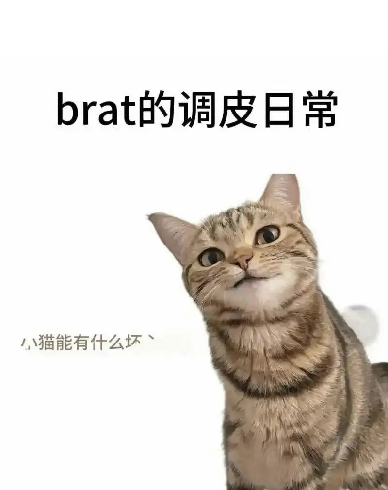【西檬之家】斯慕圈是什么意思？字母圈新人权威入门指南