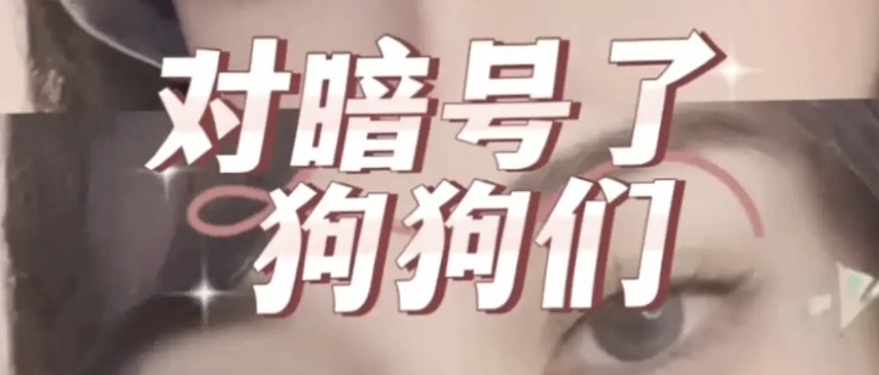 【西檬之家】BDSM管教入门：理解小圈文化与SSC安全原则
