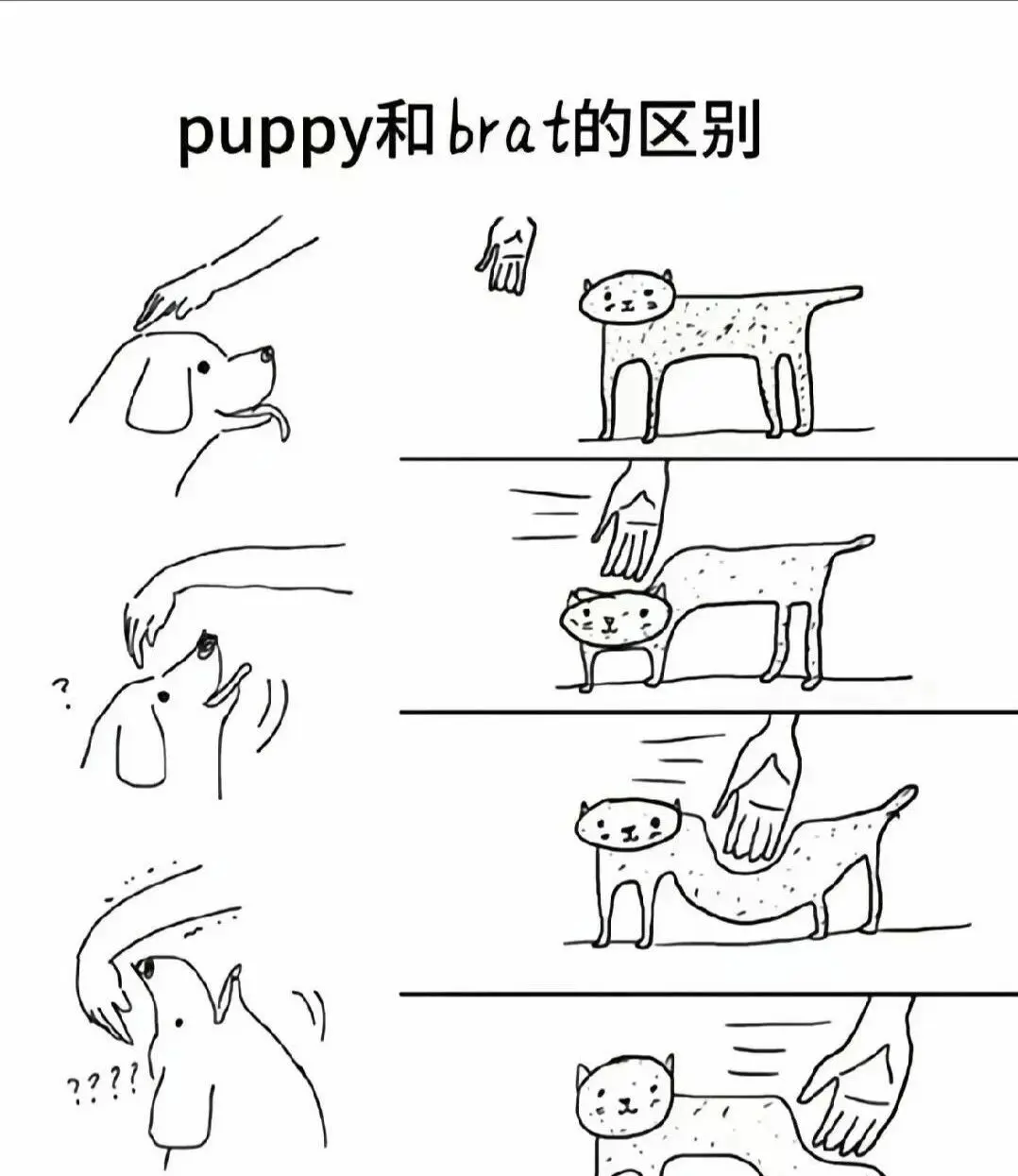 【西檬之家】斯慕圈（BDSM）核心术语与 SSC 安全原则指南