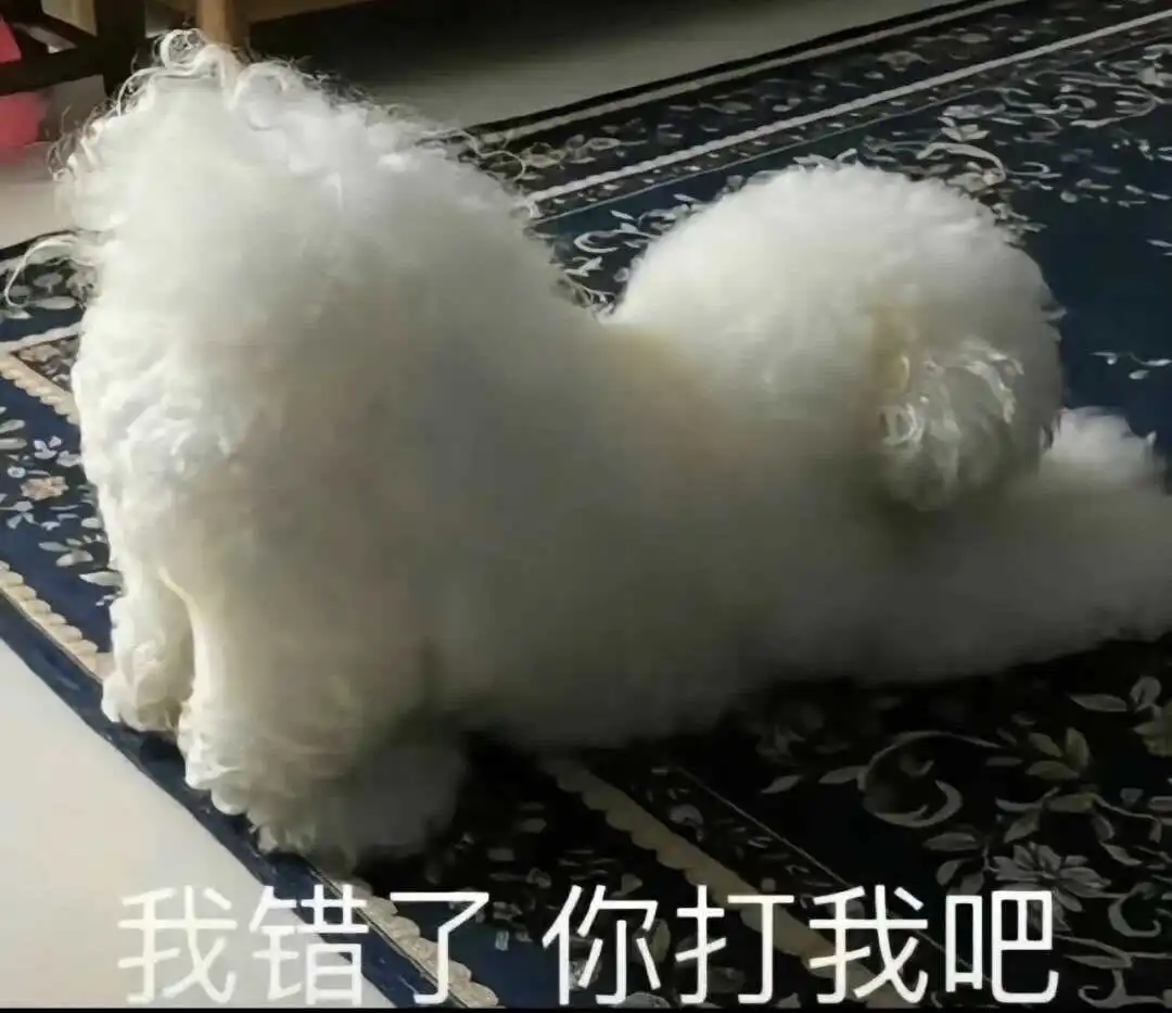 西檬之家-字母圈新人如何入圈？BDSM指南