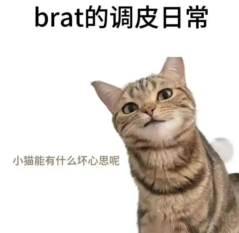 【西檬之家】字母圈入门：解读BDSM核心文化与SSC原则